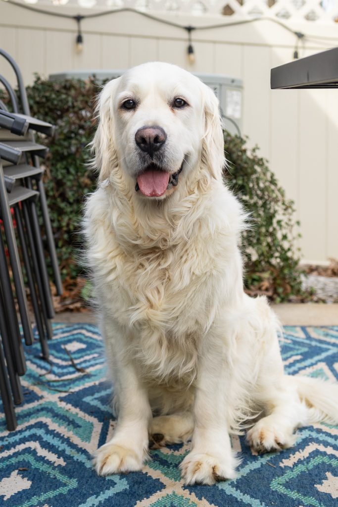 Snuggles 2601006 - 1