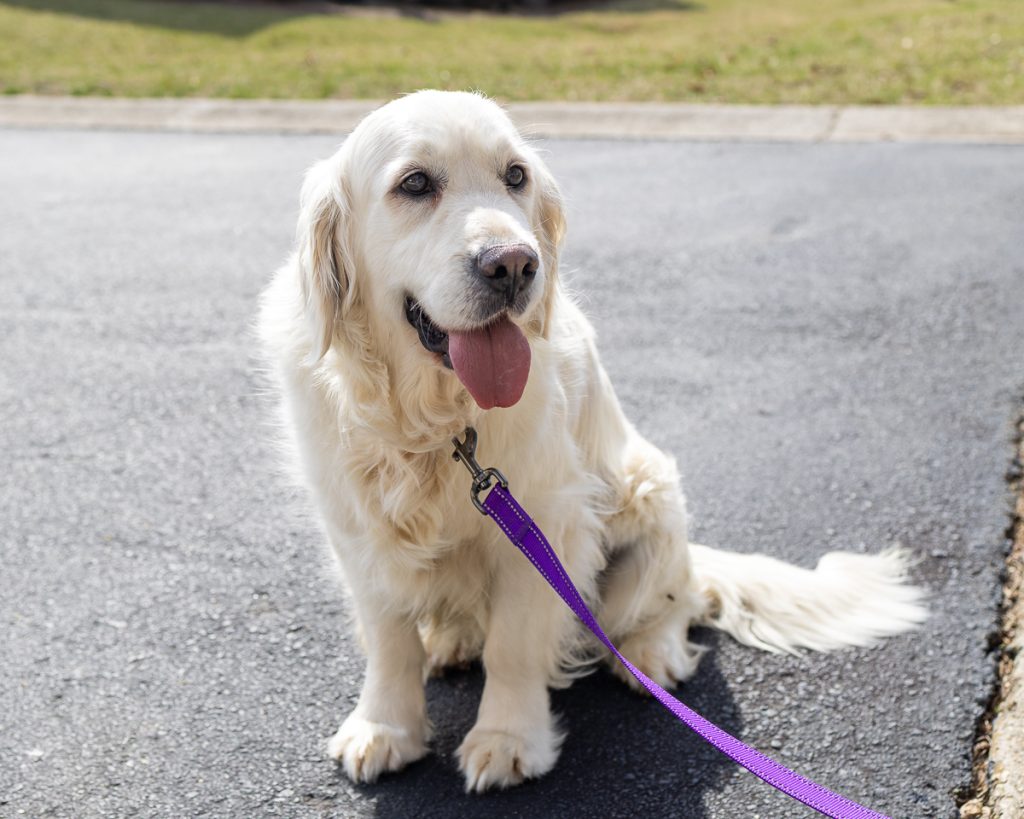 Snuggles 2601006 - 9