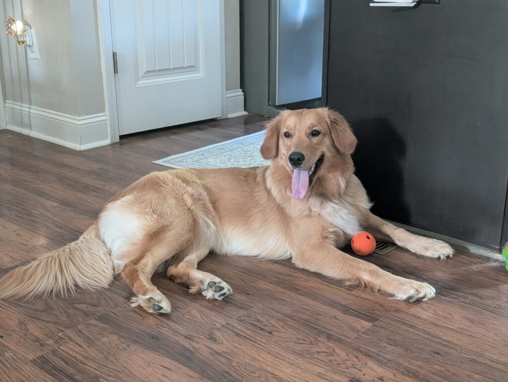 Chesney 2607059 - 6