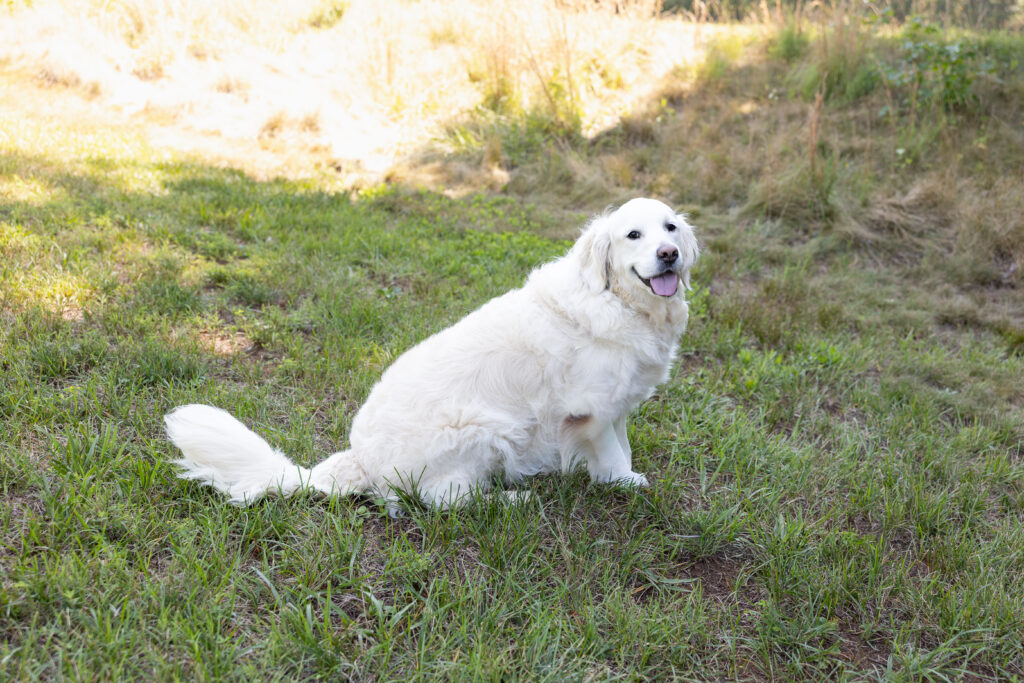 Finley 2606047 - 1