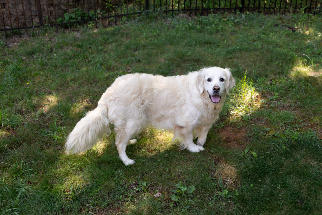 Finley 2606047 - 5