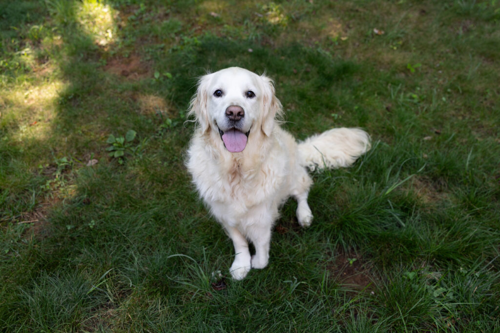 Finley 2606047 - 6