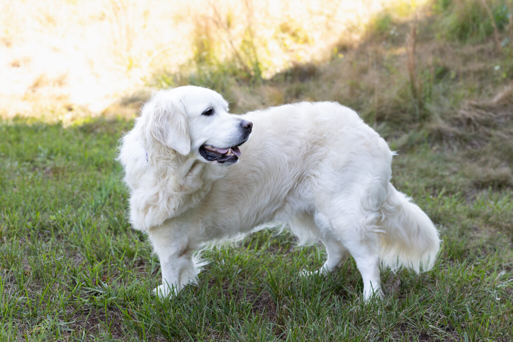 Finley 2606047 - 7