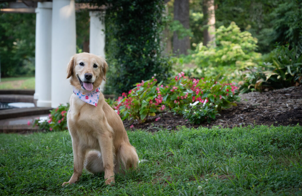 Lucy Lu 2607058 - 11