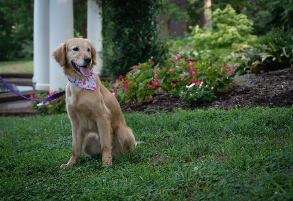 Lucy Lu 2607058 - 12