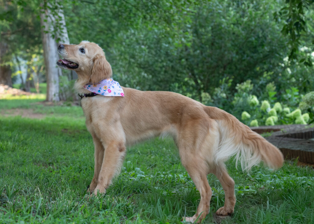 Lucy Lu 2607058 - 8