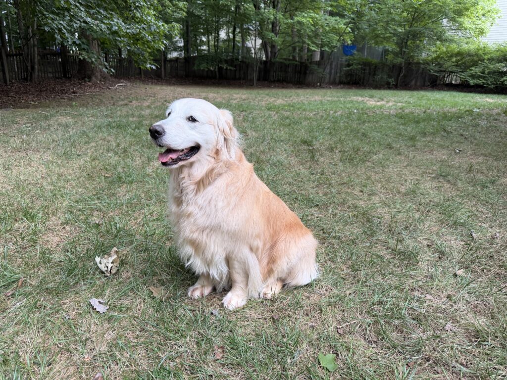 Molly 2606056 - 1