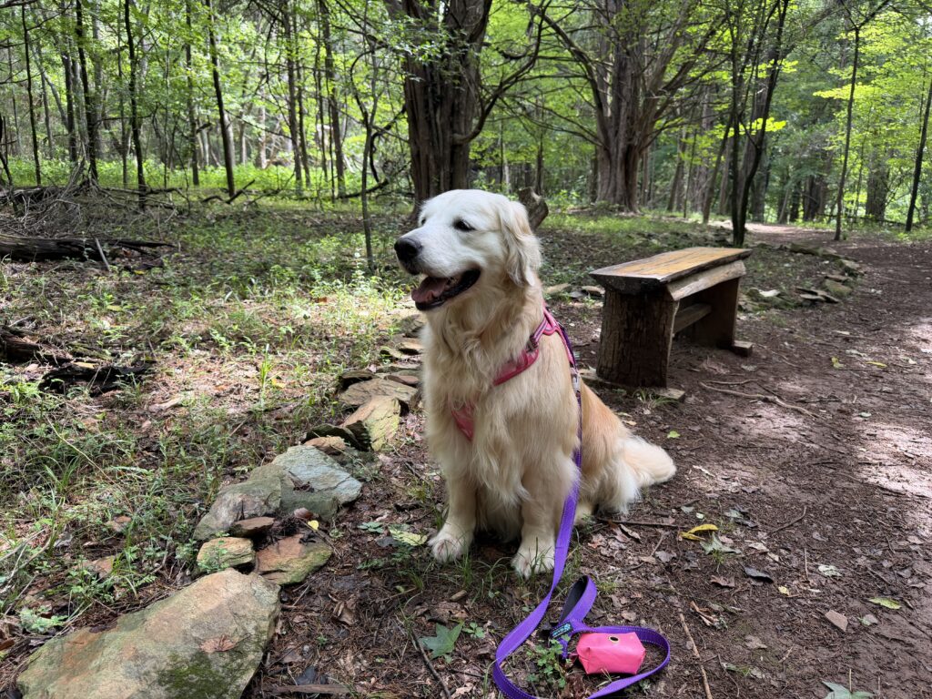 Molly 2606056 - 4