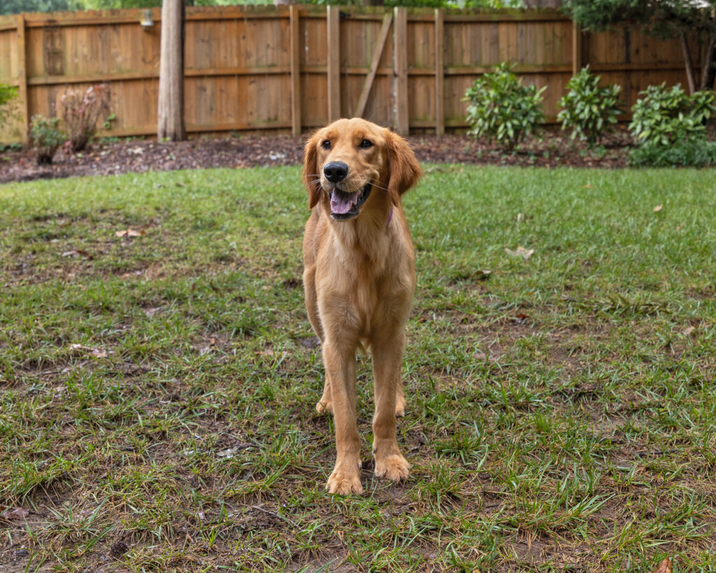 Winnie 2604033 - 11