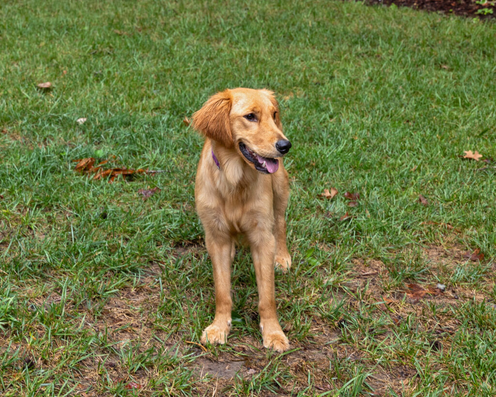 Winnie 2604033 - 2