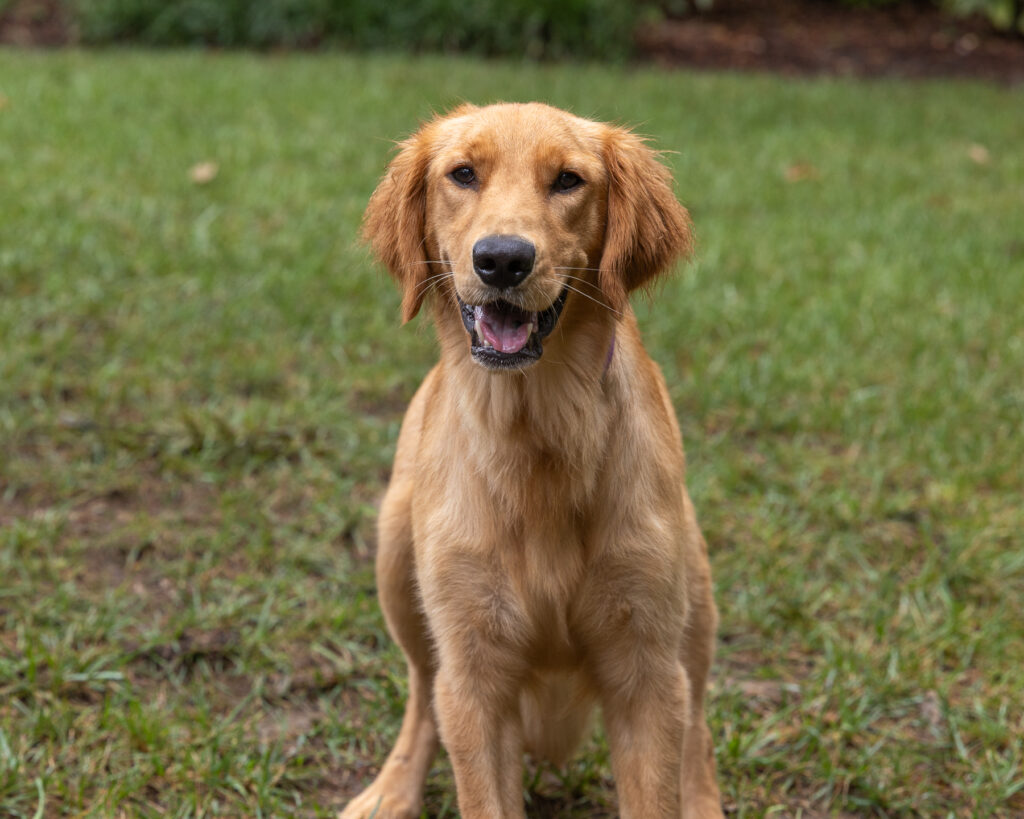 Winnie 2604033 - 6