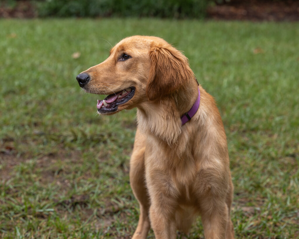 Winnie 2604033 - 7