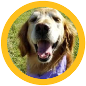Adopt-circle