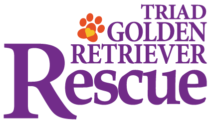 Triad Golden Retriever Rescue