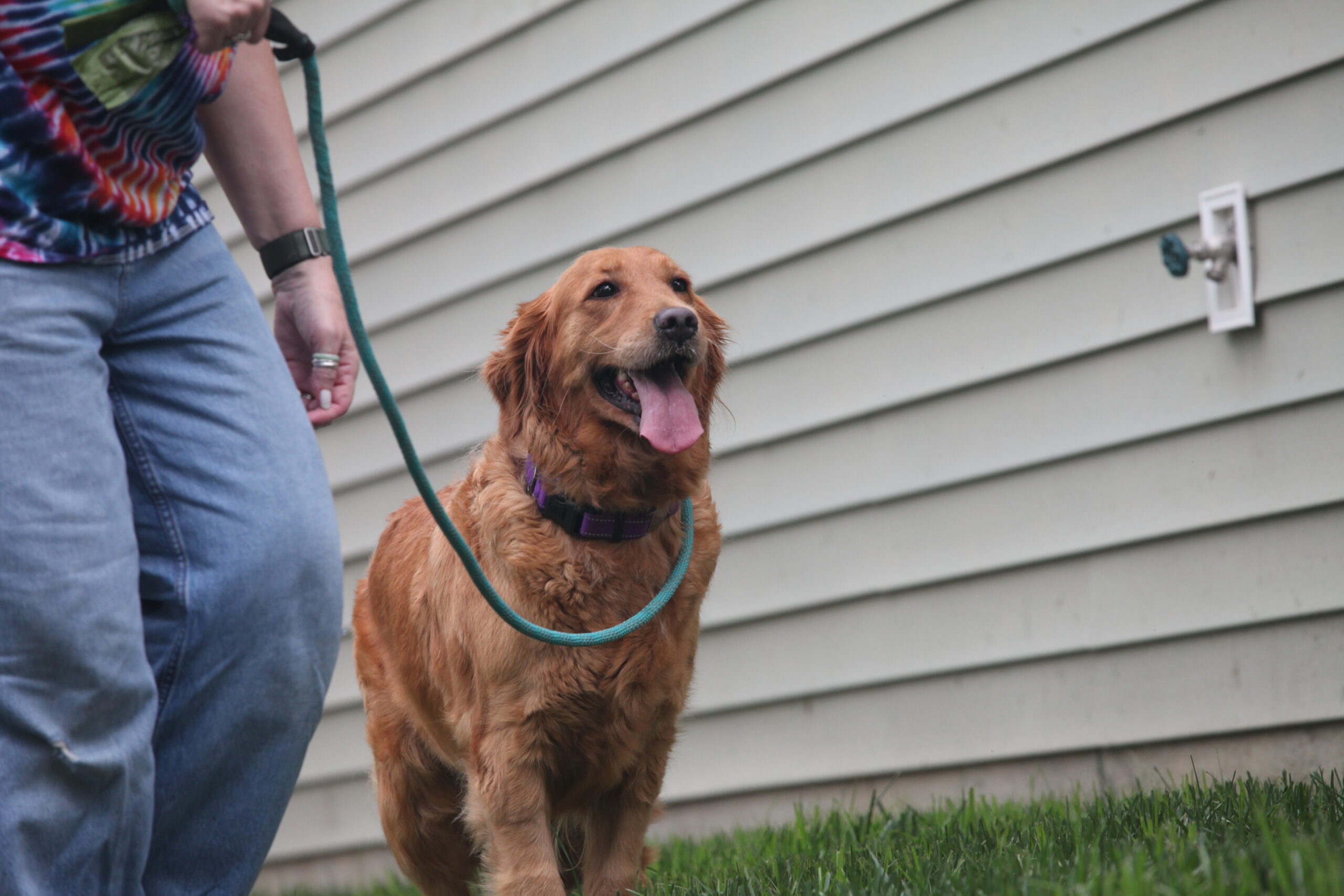Lucy-2605038-8-scaled