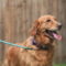 Lucy