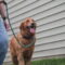 Lucy