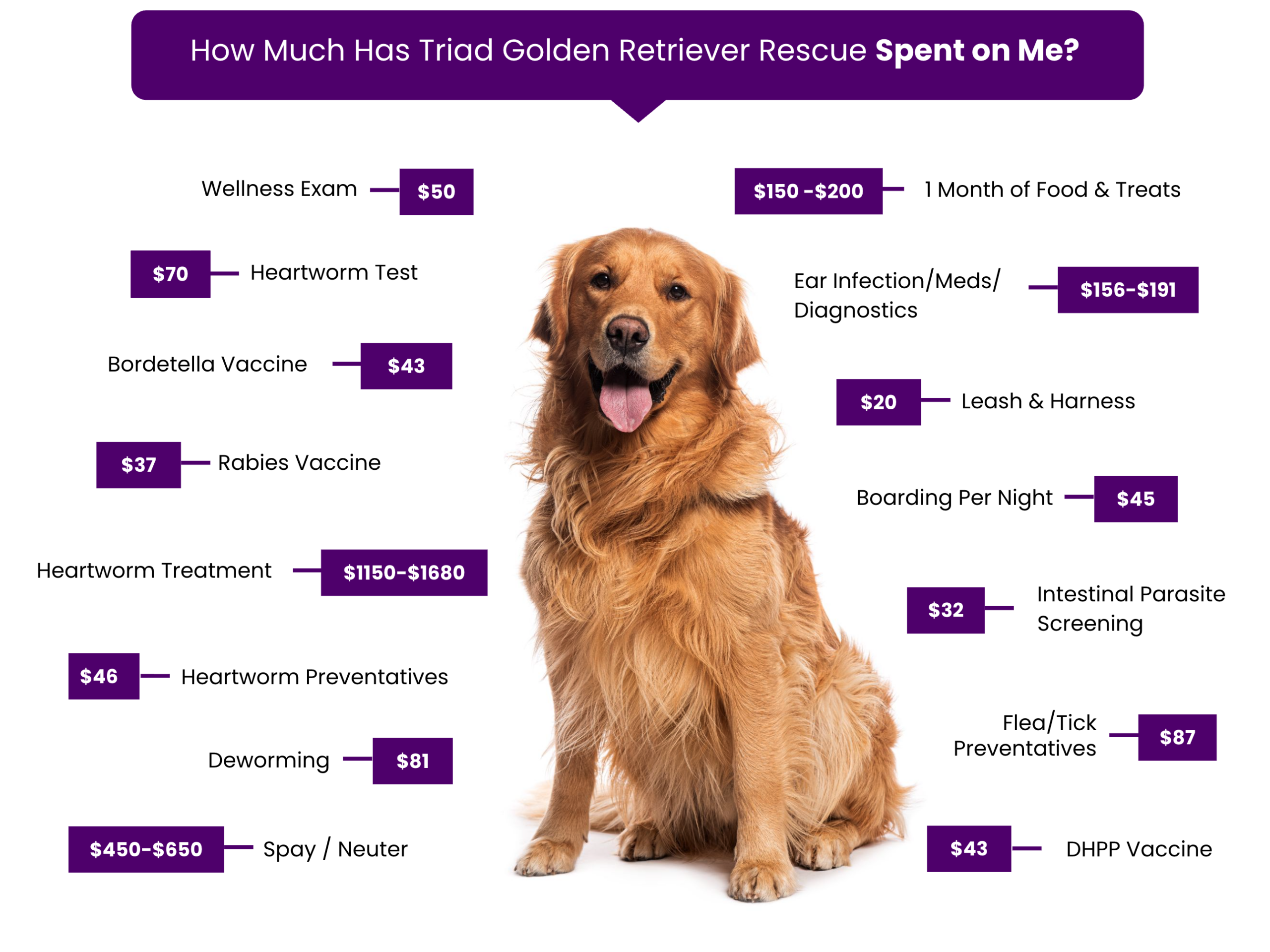 triad-fee-graphic