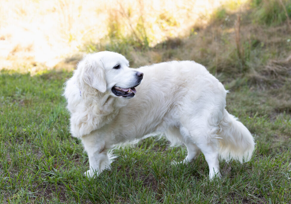 Finley 2606047 - 7