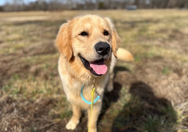 Hank Aaron 2602010 - 3