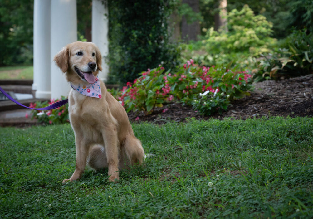 Lucy Lu 2607058 - 12
