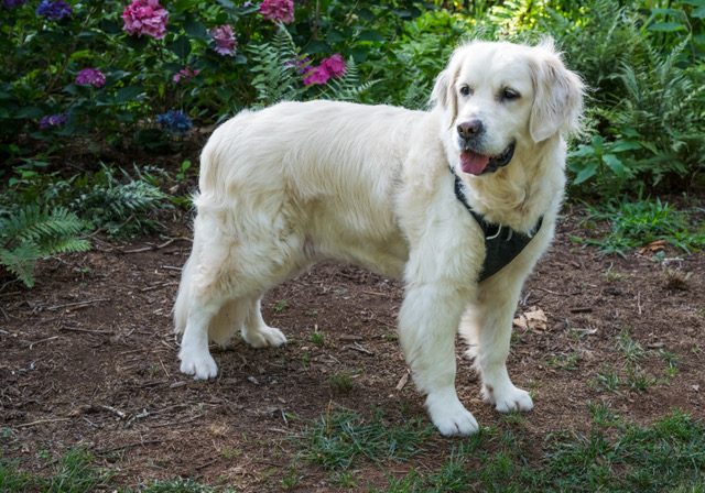 Maybelle 2606046 - 6