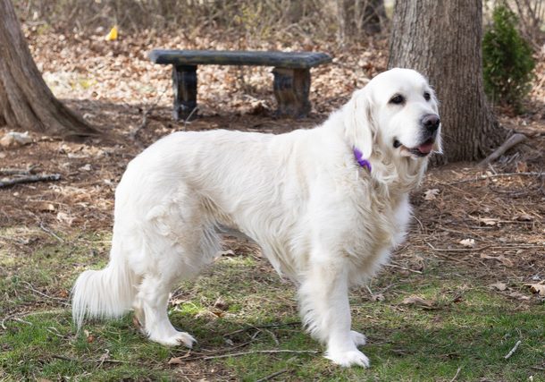 Snuggles 2601006 - 7