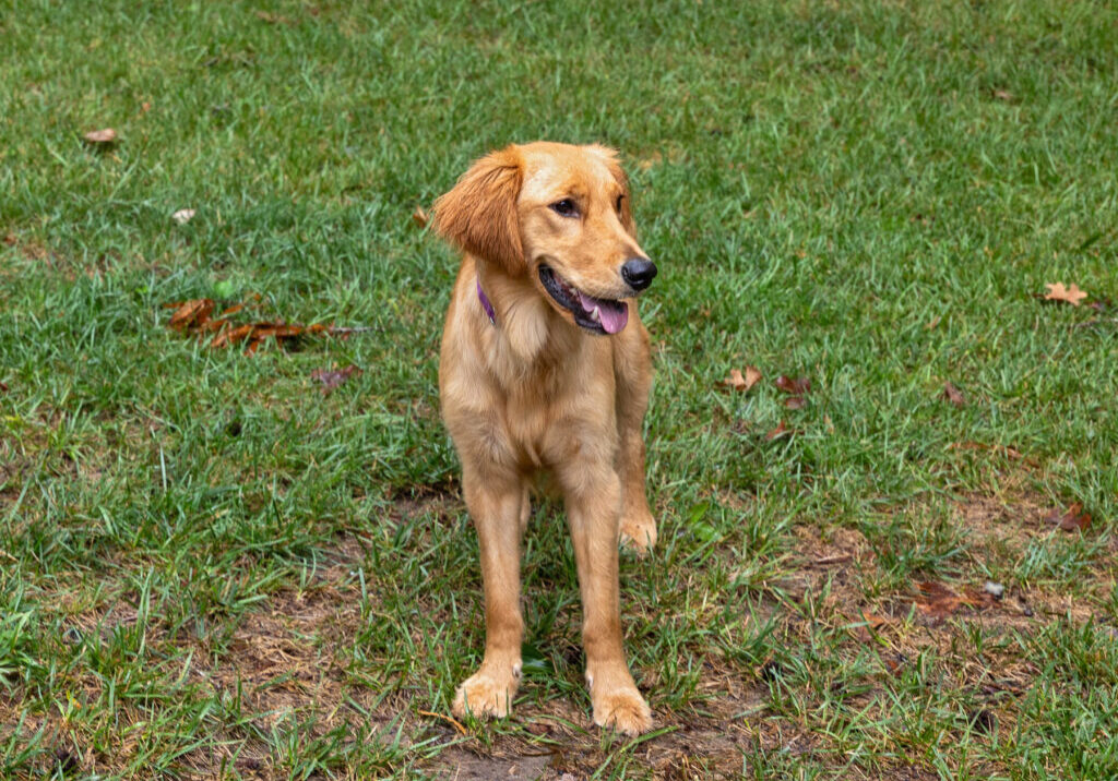 Winnie 2604033 - 2