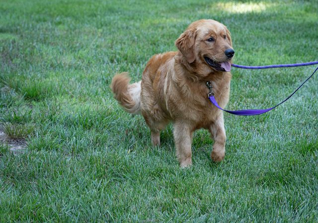 Winston 2604034 - 10